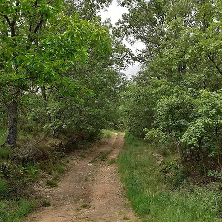 Holiday home La Laguna