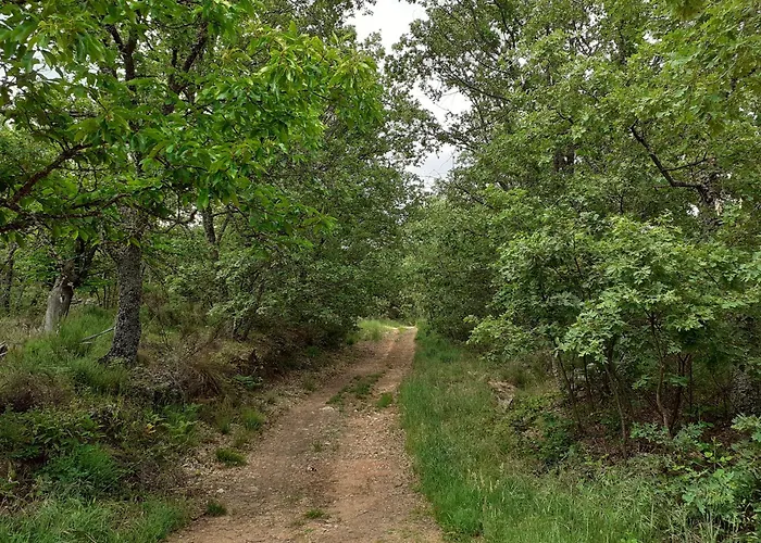 Ferienhaus La Laguna