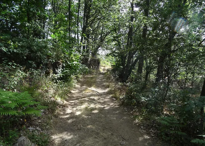 Ferienhaus La Laguna *